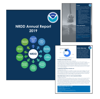 NRDD Annual Report 2019